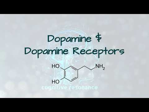 Dopamine And Dopamine Receptors - Subliminal