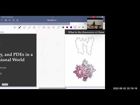 Svitlana Mayboroda 1st lecture