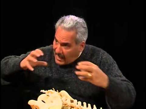 Chiropractic Care & Spinal Decompression with Dr. David F. Cuccia, DC