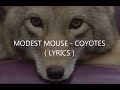 Modest Mouse - Coyotes ( LYRICS )