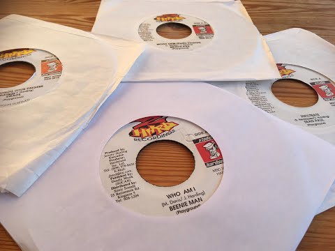 Playground Riddim Mix 1997 (Beenie Man, Sean Paul, Mr.Vegas, Merciless, Spragga Benz, Swade & more)