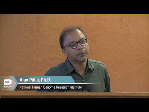 Report: Computational Genomics and Data Science Program Workshop - Ajay Pillai