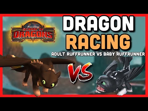 WHO IS THE FASTER DRAGON!? | Adult Ruffrunner VS Baby Ruffrunner [Racing]-School of Dragons Gameplay