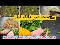 Easy Method Of Cutting Spinach Palak Recipe Very Easy And Quick Daily Routine Work Pakistani Vlog