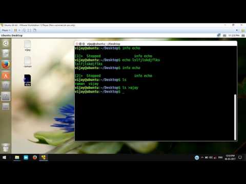 Linux Tutorial 7 Saving Results to a File