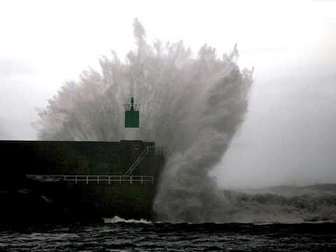 Slovenski oktet- Pesem galebu
