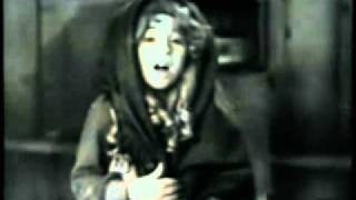 Marshall Crenshaw ~ Live and Learn