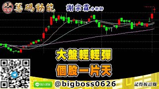 【大戶羅盤籌碼動能】 #謝宗霖0202，大盤輕輕彈 個股一片天 (圖)