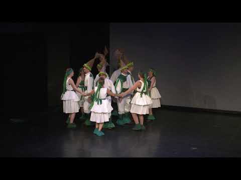 Ansambl Zabok, DRMEŠ-DA! 2019