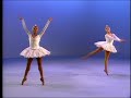 Classic Sesame Street Dance Theater Of Halem 3 Birds