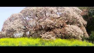 Jethimself, Barzek - Drifting Out (Original Mix)