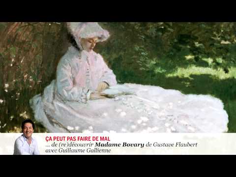 "Madame Bovary" de Gustave Flaubert lu par Guillaume Gallienne