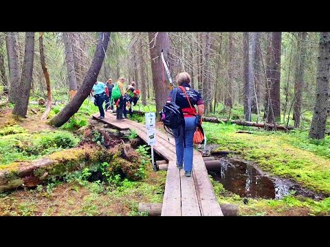 WORLD BOWHUNTER CHAMPIONSHIP 2023 FINLAND | ROVANIEMI |  Lapland #archery #traditional #bow #lapland