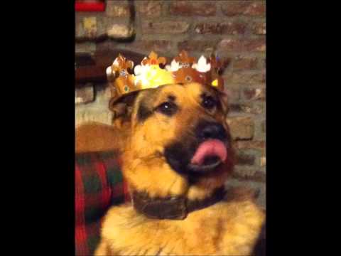 GINO CAVALIERE     JE PENSERAI TOUJOURS A TOI ...