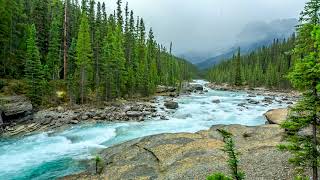 Beautiful Nature River flowing in Canada 4k. Relaxing River Sounds, Nature White Noise for Sleeping.