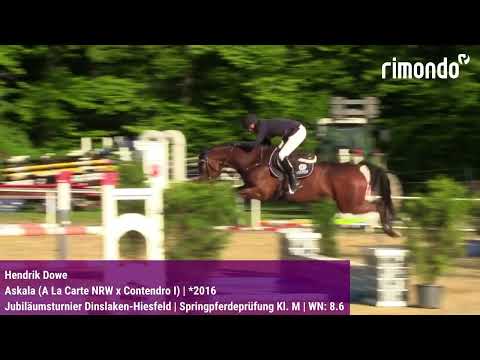 BuCha-Quali Dinslaken-Hiesfeld – Hendrik Dowe & Askala