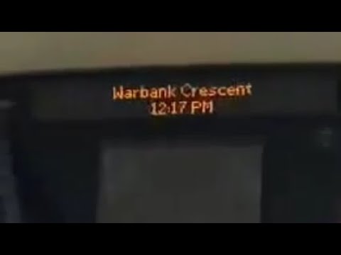 THE QUICK SUMMARY OF THE 464 BUS ROUTE TO TATSFIELD - RIDING ON IT - 27/10/23.