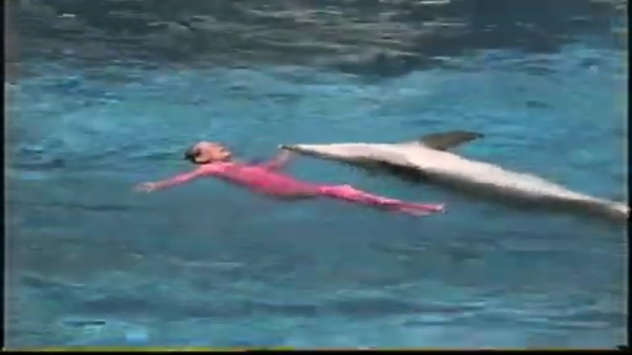 Vintage SeaWorld Orlando-Fusion ski show / Blue Horizons dolphin show
