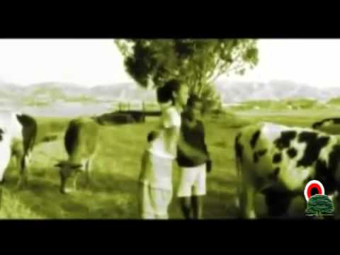 Nigusuu Taammiraat - Yaannikoo (Oromo-Oromia)