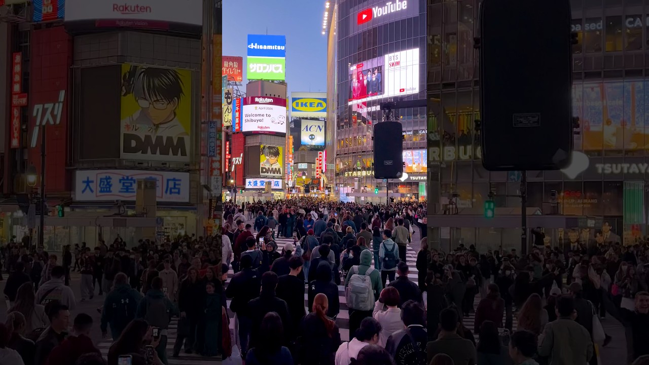 Hi!SHIBUYA!😎 #shorts #shibuyacrossing #nightwalk