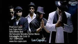 Hector el Father feat. Varios Artistas - Los Capos ( Los Capo ) © 2007.