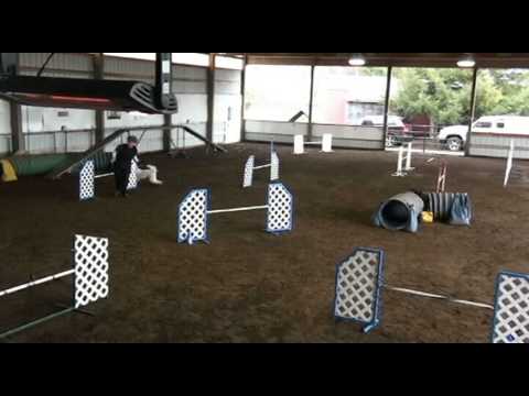 Beatrice and Desiree Snellman hold a seminar