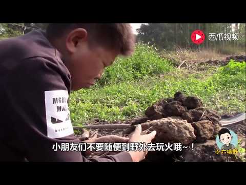 小六搞野:面包木薯新吃法,土窑过后又粉又糯,唇齿留香 小六搞野:面包木薯新吃法,土窑过后又粉又糯,唇齿留香