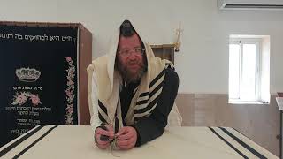 הלכה יומית | בדיני ברכת הריח, מוגמר | הרב צבי חלמיש שליט"א