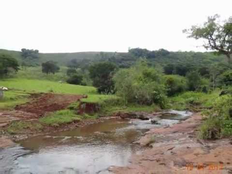 Laço da saudade video