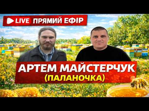 👉 Прямий ефір | Артем Майстерчук (Паланочка)🐝
