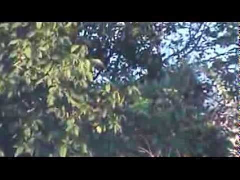 استهداف حاجز البانة في ريف حماة بصواريخ محلية الصنع من قبل كتائب حماة السنة