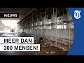 Beelden: jongeren gaan los bij illegaal feest