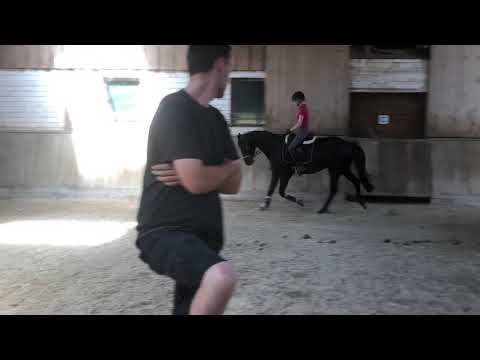 Faunus 07.2020 vor Abholung bei Nicole Hofmann Video 8 -  IMG 1313