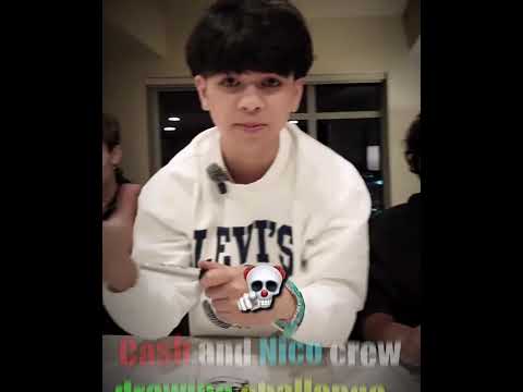 Cash and Nico do a DRAWING challenge ???? #cashandnico
