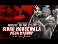 The Last Ride | Tribute to The Legend Sidhu Moosewala | Mega Mashup | HS Visual x Papul