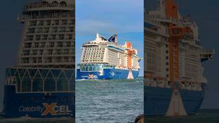 Celebrity Xcel 🛳️ #like #share #comment #subscribe #youtubeshorts #cruise #travel #shorts #yt #fun