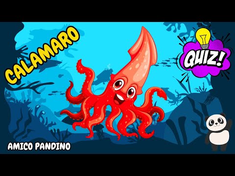 Animali per bambini - IL CALAMARO - Impara gli animali con Pandino - quiz animali - MOLLUSCHI