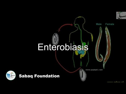 Enterobiasis fertőzés A paraziták a szájon keresztül jönnek ki