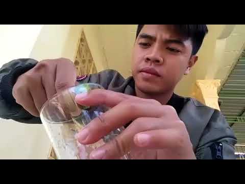 download lagu mp3 mp4 Tips Menyembuhkan Obat Batuk, download lagu Tips Menyembuhkan Obat Batuk gratis, unduh video klip Tips Menyembuhkan Obat Batuk