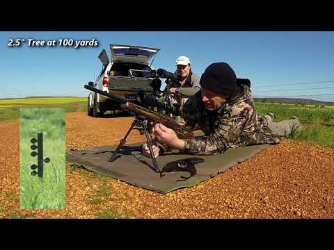 CZ 452 + March F 3-24x42FFP scope (mini PRS and ELR series)