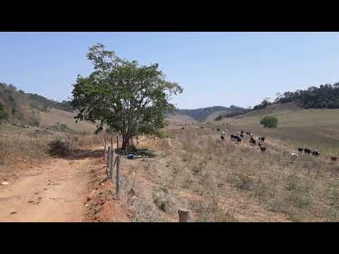 18 de setembro de 2024