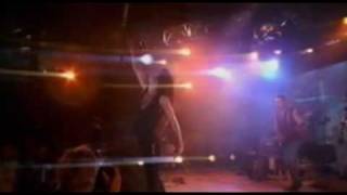 VIDEO! Litfiba - Cane (live Montreux 1991)