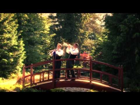 IGOR IN ZLATI ZVOKI - ZELENI GAJ