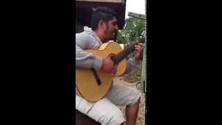 Gipsy Kings A mi manera (cover)