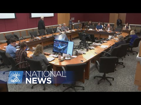Senate committee studies elver fishery shut down by DFO in March | APTN News