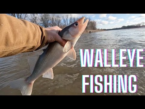 WALLEYE fishing on the Maumee River