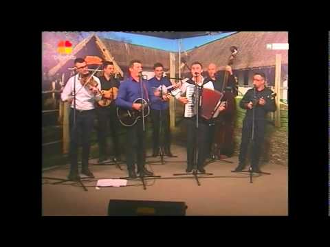 T.S. JEDINI - JA SAM GAZDA JOZA / OJ CURICE MALENA