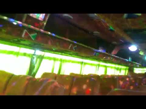 hiba mol bus💥💥💥💥