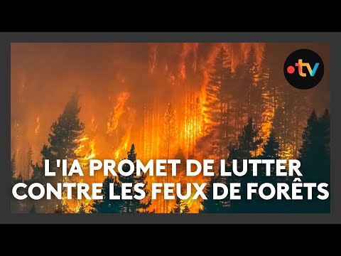 Feux de forêt : comment l'IA promet de révolutionner le combat contre les incendies