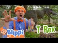 Blippi Explores Dinosaurs At The Natural History Museum Educational Videos For Kids
